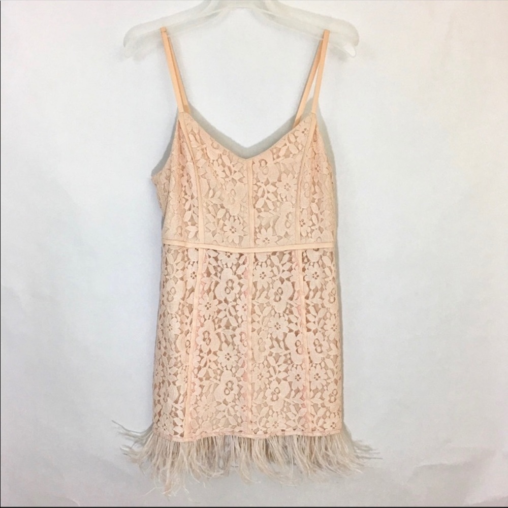Gianni Bini Feather and Lace Cocktail Dress NWT